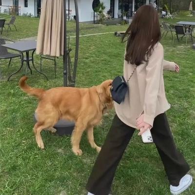 刺客娇娃:赏金女猎人